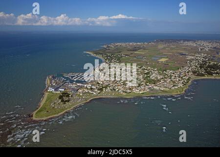 Francia, Vandea Noirmoutier en l'Ile, Port Herbaudière la punta dell'isola (aereo) Foto Stock