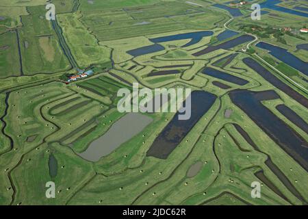 Francia, Vandea, Beauvoir-sur-Mer agricoltura e acquacoltura nelle paludi (vista aerea) Foto Stock