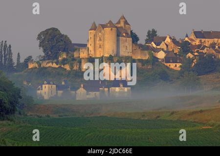 Francia, Dordogne Salignac-Eyvigues, il Château, il vecchio villaggio all'alba Foto Stock