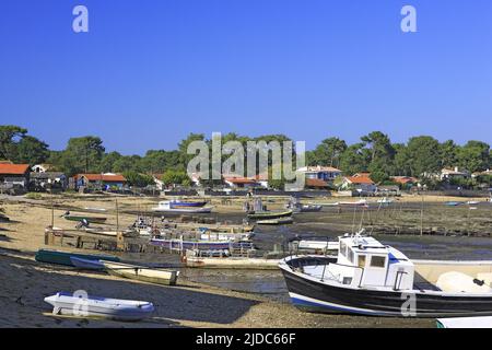 Francia, Gironda, Arcachon, porto di ostriche, le Canon, A Cap-Ferret Foto Stock