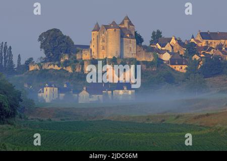 France, Dordogne Salignac-Eyvigues, the château, the old village at sunrise Stock Photo