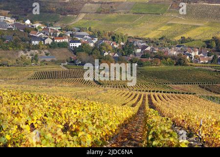 Francia, Cher Chavignol, il villaggio visto dal vigneto Foto Stock