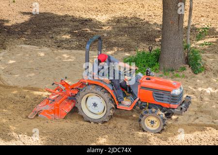 Un agricoltore su un mini trattore allenta il terreno per il prato. Coltivazione di terra, livellamento di superficie. Foto Stock