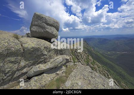 Francia, Lozere Vialas, paesaggio fiorito del Mont Lozère, le rocce di Trenze, Parc des Cévennes, Foto Stock