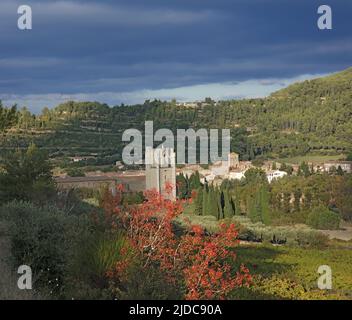 Francia, Aude Lagrasse classificato villaggio, Sainte-Marie de Lagrasse Abbazia Foto Stock