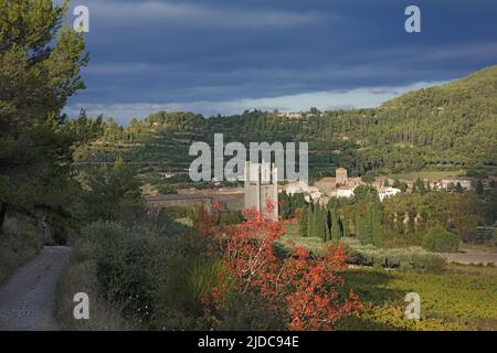 Francia, Aude Lagrasse classificato villaggio, Sainte-Marie de Lagrasse Abbazia Foto Stock