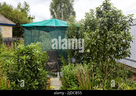 Gazebo sotto una griglia di zanzara su un esterno. Posto per riposare nel cortile posteriore Foto Stock