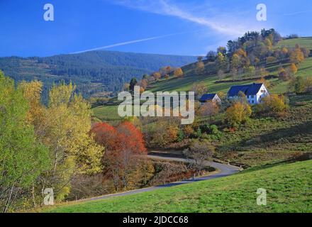 Francia, Haut-Rhin (68) Orbey, pensioni fattoria sulla route du Munster Foto Stock