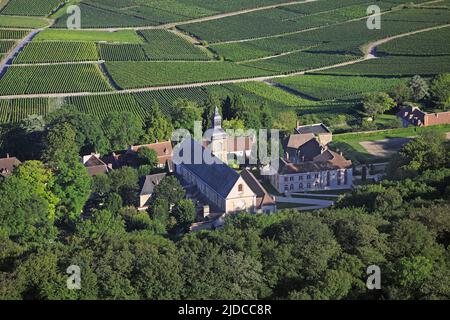 Francia, Marne, Hautvillers villaggio di vigneti Champagne, vicino a Epernay, è appoggiata contro la tabella la Montagne de Reims, la tomba del monaco Dom Perignon sepolto nella navata centrale dell'abbazia. (foto aerea) Foto Stock