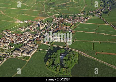Francia, Côte-d'Or, Pommard, villaggio vigneto di Borgogna AOC Côtes de Beaune (foto aerea), Foto Stock