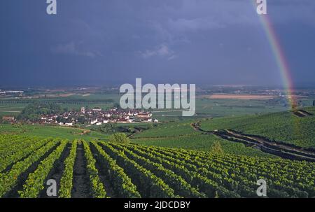 Francia, Côte-d'Or Pommard, il villaggio, il vigneto aoc Cotes de Beaune Foto Stock