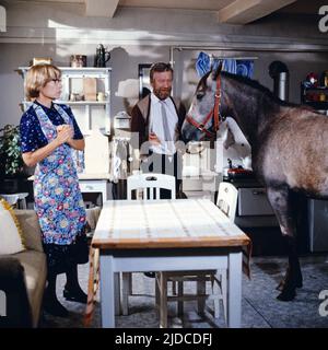 Ein sturer Bock, ZDF Fernsehfilm, Deutschland, 1981, heitere Ebisoden mit Eva Maria Meineke, Heinz Reincke und Pferd Lissy. Ein Sturer Bock, film televisivo, Germania, 1981, allegri episodi con Eva Maria Meineke, Heinz Reincke e il cavallo Lissy. Foto Stock