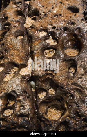 Texture di roccia stagionata con buchi sulla spiaggia di Bolonia, Cadiz, Spagna. Foto Stock