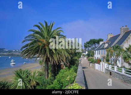 Francia, Finistère, Ile de Batz, la città, il lungomare Foto Stock