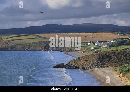 Francia, Finistère Plomodiern, baia Douarnenez, paesaggio costiero Foto Stock