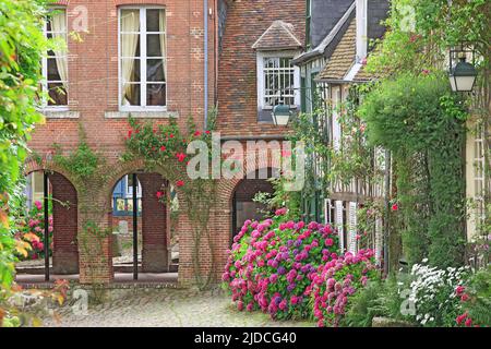 Francia, Oise (60) Gerberoy, villaggio labellizzato, 'villaggio fleuri' (villaggio fiorito) Foto Stock