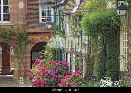 Francia, Oise (60) Gerberoy, villaggio labellizzato, 'villaggio fleuri' (villaggio fiorito) Foto Stock