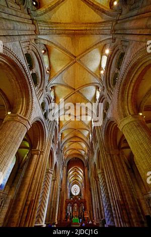 La Cattedrale di Durham ha una vista interna del tetto a volta che guarda verso l'altare principale e la magnifica finestra Est Foto Stock