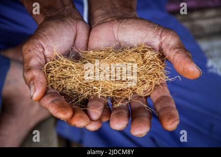 Sumedang, Indonesia. 20th giugno 2022. Un uomo mostra tabacco pronto a vendere a Sumedang. La maggior parte dei residenti in questo villaggio lavora come coltivatori di tabacco, una professione che hanno trasmesso di generazione in generazione. Quando visiteremo questo villaggio, vedremo distese di tabacco che asciugano sotto il sole che riempie le strade del villaggio, tetti e terrazze di case. Questo villaggio è in grado di soddisfare la domanda di mercato da tutte le province indonesiane, tra cui West Java, Bali e Sumatra. Alcuni prodotti vengono persino esportati all'estero, in luoghi come il Pakistan, la Malaysia e la Turchia. Credit: SOPA Images Limited/Alamy Live News Foto Stock