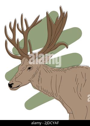 Disegno a mano della testa del cervo con corna, ritratto animale selvatico su disegno astratto dello scricbble sfondo vettoriale Illustrazione Vettoriale