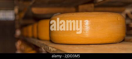 Enkhuizen, Paesi Bassi, giugno 2022. Primo piano di un magazzino di formaggi. I formaggi sono impilati sul ripiano. Foto di alta qualità. Primo piano. Messa a fuoco selettiva Foto Stock