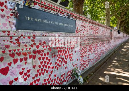 Londra, Regno Unito. 20 giugno 2022. Il Muro commemorativo Nazionale del Covid di fronte alle Case del Parlamento. I dati attuali della app di studio ZOE Covid mostrano che le infezioni sintomatiche giornaliere sono passate da 114.030 il 1 giugno a 188.369 il 17 giugno. Un nuovo studio condotto dal professor Altmann presso l'Imperial College di Londra, dimostra che una precedente infezione fornisce una scarsa protezione contro le future infezioni, spiegando l'aumento più elevato del previsto nei casi osservati nelle ultime tre settimane, guidato dai subvarianti BA.4 e BA.5 Omicron. Credit: Stephen Chung / Alamy Live News Foto Stock