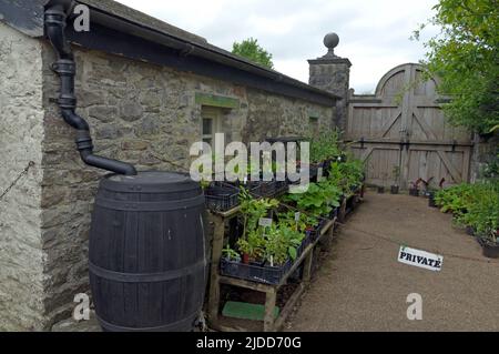 Il premiato Physical Garden, Cowbridge, nei pressi di Cardiff, giugno 2022 Foto Stock