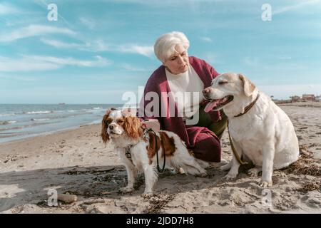 Donna anziana con i suoi cani sulla spiaggia Foto Stock
