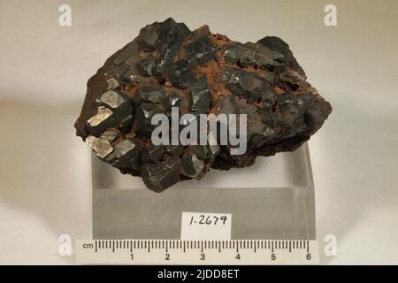 Hematite. Minerali. Nord America; Canada; Nuova Scozia; Digby County; Nichols Mountain Foto Stock