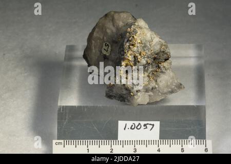 Oro. Minerali. Nord America; USA; California; Contea di Calaveras; campo degli Angeli; Miniera di Melones (Carson Hill) Foto Stock