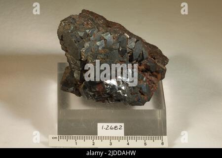 Hematite. Minerali. Nord America; Canada; Nuova Scozia; Digby County; Nichols Mountain Foto Stock