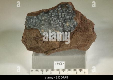 Minerali opali. Nord America; USA; Montana; Park County; Six Mile Creek Mountains S dalla testa di Foto Stock