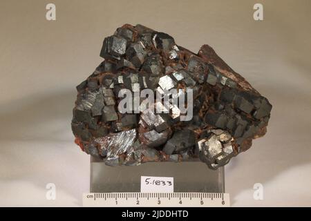 Hematite. Minerali. Nord America; Canada; Nuova Scozia; Digby County; Digby Neck Foto Stock