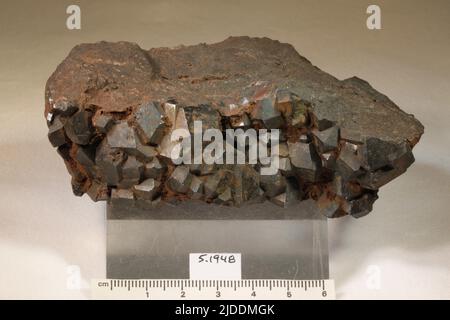 Hematite. Minerali. Nord America; Canada; Nuova Scozia; Digby County; Digby Neck Foto Stock