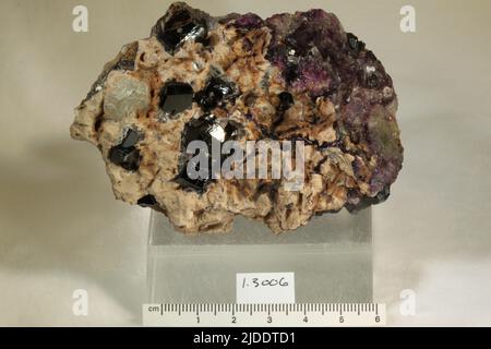 Cassiterite. Minerali. Europa; Repubblica Ceca; Regione di Ústí nad Labem; Krupka; [Boemia, Graupen] Foto Stock