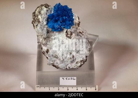 Cavansite. Minerali. Asia; India; stato di Maharashtra; distretto di Pune; Wagholi; Cava di Wagholi Foto Stock