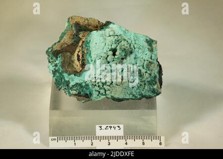 Malachite. Minerali. Nord America; USA; Pennsylvania; contea di Berks Foto Stock