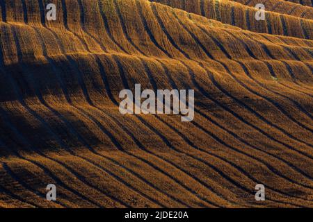 Tipico paesaggio autunnale mattutino toscano, Val D'Orcia, Toscana, Italia Foto Stock