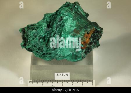 Malachite. Minerali. Nord America; USA; Arizona; Contea di Cochise; Bisbee; Miniera di rame Regina Foto Stock
