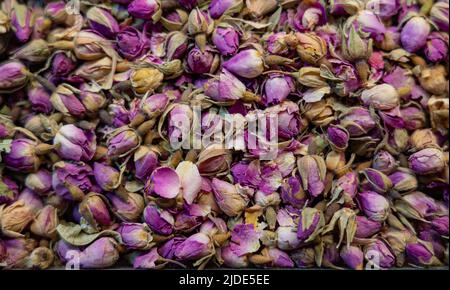 Boccioli di rosa essiccati viola piccolo per lo sfondo su tutta la cornice Foto Stock
