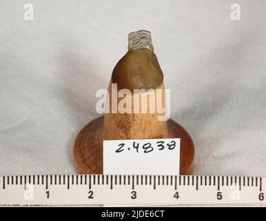 Hemimorphite. Minerali. Nord America; USA; New Mexico; Contea di Dona Ana; montagne di organi Foto Stock