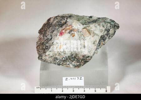 Eudialyte. Minerali. Asia; Russia; Oblast di Murmanskaya; Penisola di Kola, Umptek Foto Stock