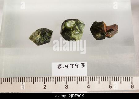 Epidote. Minerali. Nord America; USA; Colorado; Calumet, miniera di Calumet Foto Stock