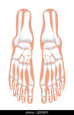Icona del piede della radiografia e del vettore di concetto radiologico su sfondo blu. Trauma alle gambe, dolore Illustrazione Vettoriale