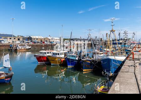 Kilkeel, County Down, Regno Unito. In una giornata di sole e altipiani del 20C, Kilkeel Harbour era un alveare di attività vivace. Kilkeel Harbour è uno dei più grandi porti di pesca dell'isola d'Irlanda. Credit: AG News/Alamy Live News Foto Stock