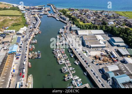 Kilkeel, County Down, Regno Unito. In una giornata di sole e altipiani del 20C, Kilkeel Harbour era un alveare di attività vivace. Kilkeel Harbour è uno dei più grandi porti di pesca dell'isola d'Irlanda. Credit: AG News/Alamy Live News Foto Stock