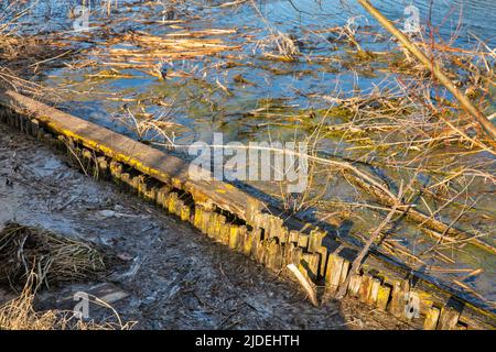 Vecchia passerella di legno rotta sul lago Virlya in Ucraina occidentale. Foto Stock