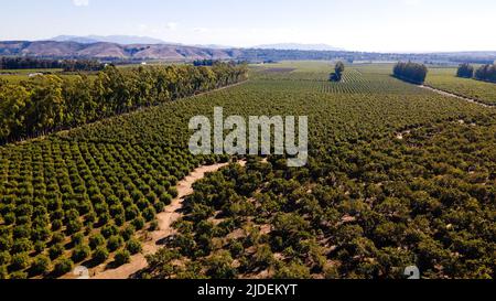 Oxnard California USA Foto Stock