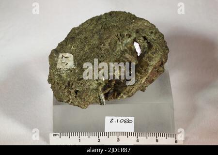 Epidote. Minerali. Nord America; USA; Connecticut; Middlesex County; Haddam Foto Stock