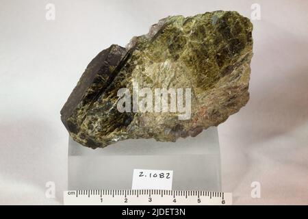 Epidote. Minerali. Nord America; USA; Connecticut; Middlesex County; Haddam Foto Stock